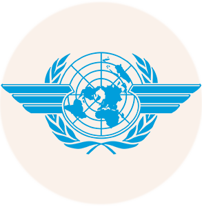 ICAO Icon