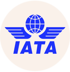 IATA Icon